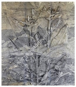 Murals (9)